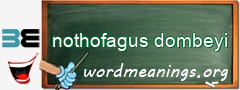 WordMeaning blackboard for nothofagus dombeyi